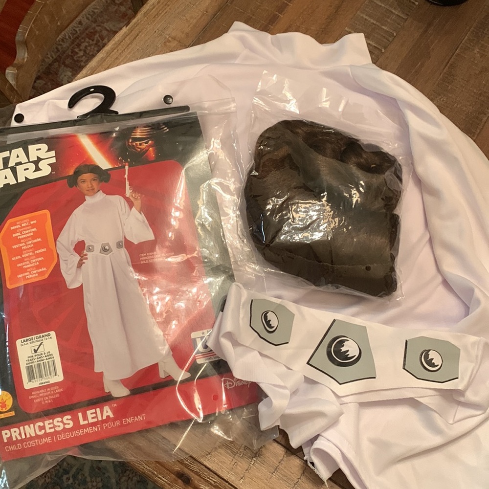 Princess Leia Halloween Costume
